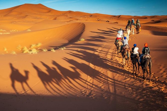 3-Day Marrakech to Fes Sahara Desert Tour via Merzouga - Day 3: sunrise camel ride, Ziz valley palm groves, Azrou cedar forest monkeys, then Fez