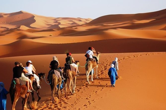 3-Day Marrakech to Fes Sahara Desert Tour via Merzouga - Who this 3-day Marrakech-to-Fez desert tour fits best