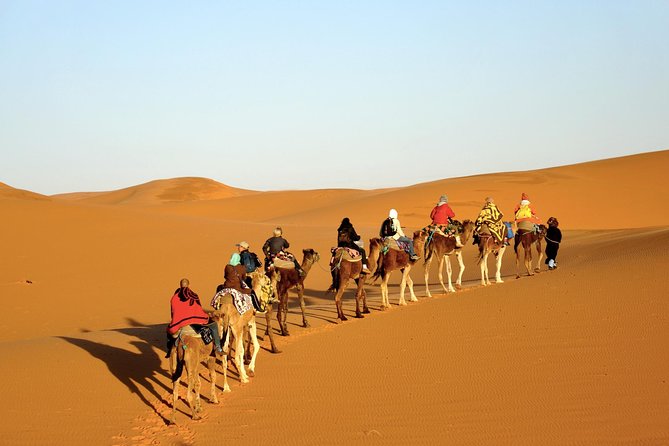 3-Day Tour to Merzouga Erg Chebbi with Food & Camel Trek - Merzouga to Erg Chebbi camel trek: stargazing is the main event