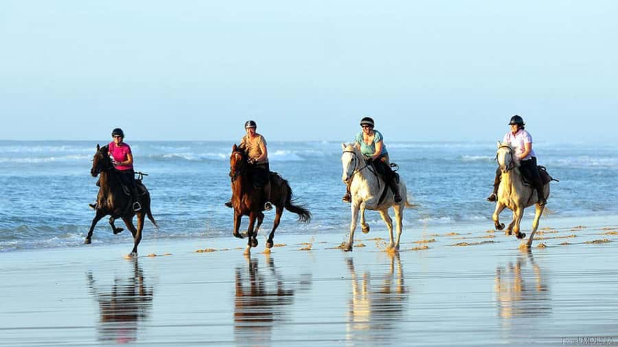 Agadir and Taghazout: 2-Hour Horseback Ride on the Beach - Key Highlights You’ll Care About