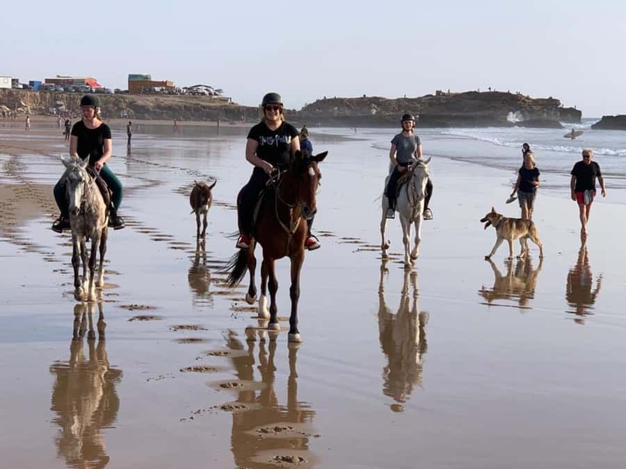 Agadir and Taghazout: 2-Hour Horseback Ride on the Beach - Price and Value: Is $176 Worth It?