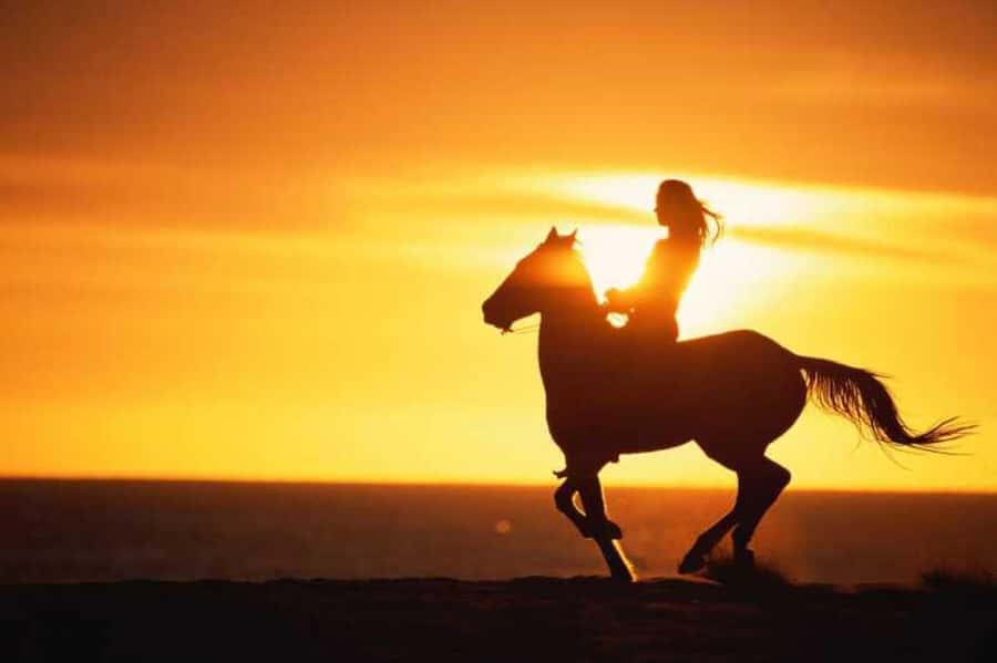 Agadir and Taghazout: 2-Hour Horseback Ride on the Beach - Horseback on the Beach: The Real Appeal Near Agadir and Taghazout