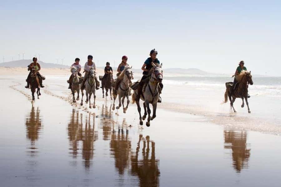 Agadir and Taghazout: 2-Hour Horseback Ride on the Beach - The Coastal Portion: What Happens Once You’re On the Beach