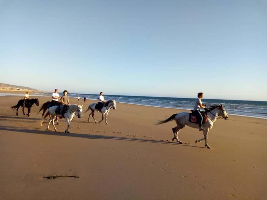 Agadir and Taghazout: 2-Hour Horseback Ride on the Beach - Walks, Trot, Canter, and the Gallop Moment (If You Want It)