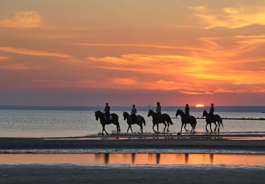 Agadir and Taghazout: 2-Hour Horseback Ride on the Beach - Guides, Group Size, and the Photo-and-Video Workflow