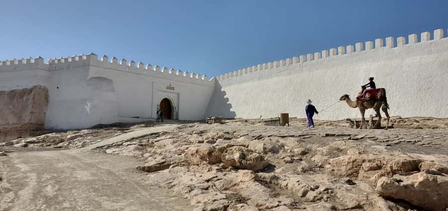 Agadir: Cable Car Ticket and Guided City Tour - Price and Value: Is $47 for a Cable Car City Tour Fair?