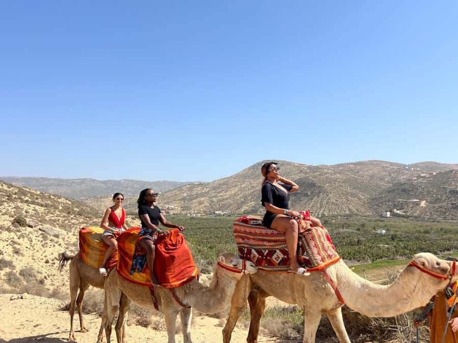 Agadir: Camel Ride With Tea & BBQ Dinner Option - Key Highlights You’ll Feel Right Away