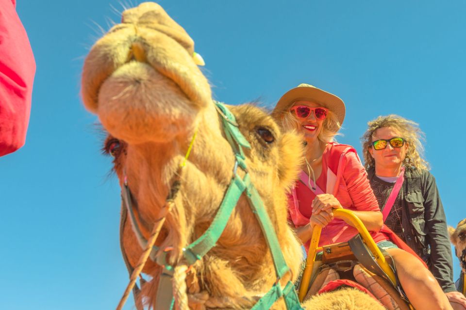 Agadir: Camel Ride With Tea & BBQ Dinner Option - When to Go: Morning vs Sunset Timing