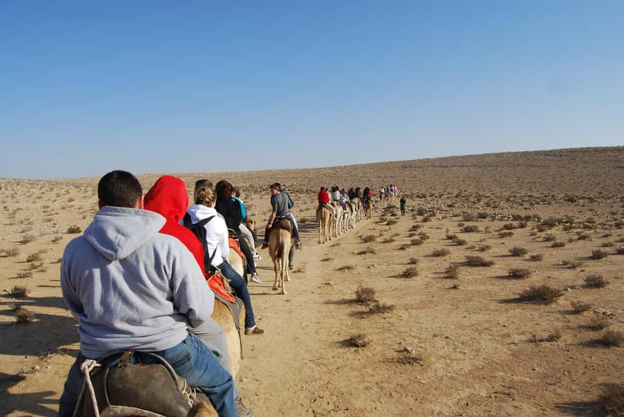Agadir: Camel Ride With Tea & BBQ Dinner Option - BBQ Dinner Option: What You Get When You Select the Meal