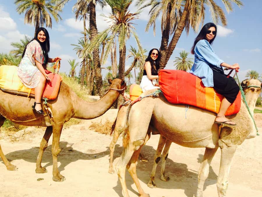 Agadir: Camel Ride With Tea & BBQ Dinner Option - What to Bring for Comfort (So You Enjoy the Ride)