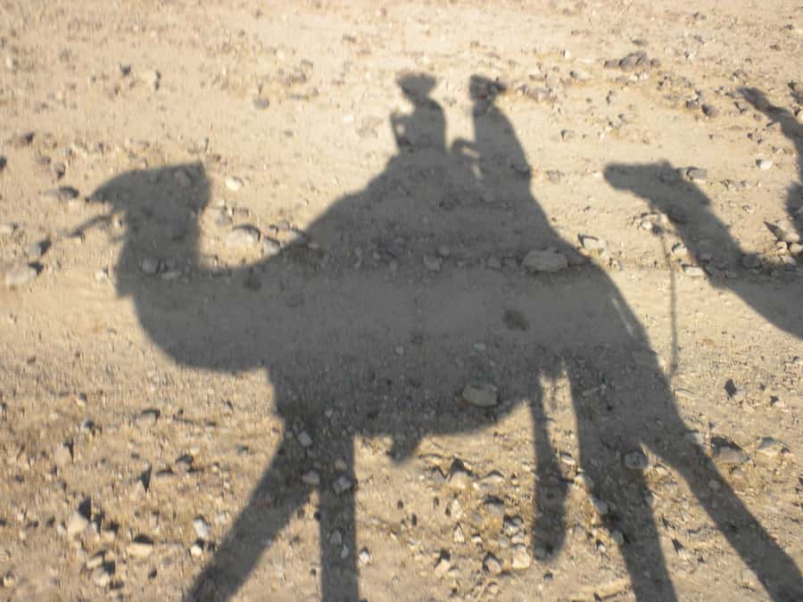 Agadir: Camel Ride With Tea & BBQ Dinner Option - Price and Value: Why $23 Feels Like a Deal in Agadir