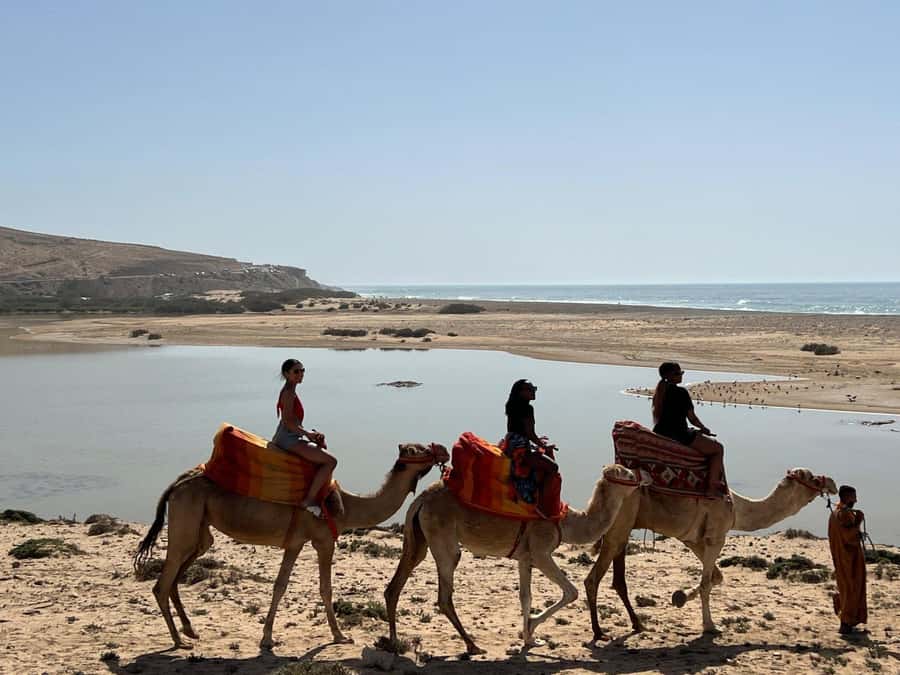 Agadir: Camel Ride With Tea & BBQ Dinner Option - Who This Camel Ride Is Best For