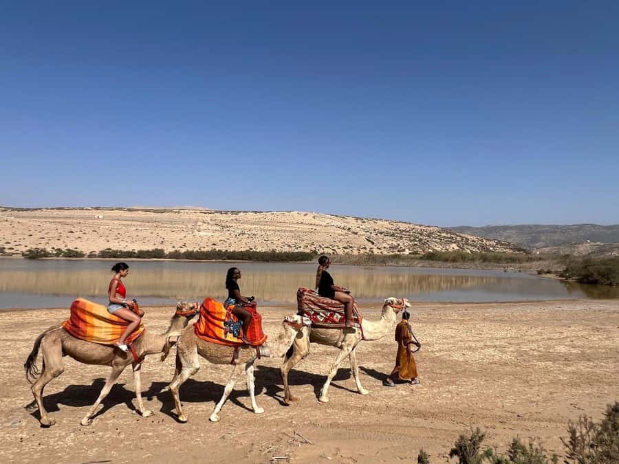 Agadir: Camel Ride With Tea & BBQ Dinner Option - Camel Ride in the Souss: What the Route Feels Like