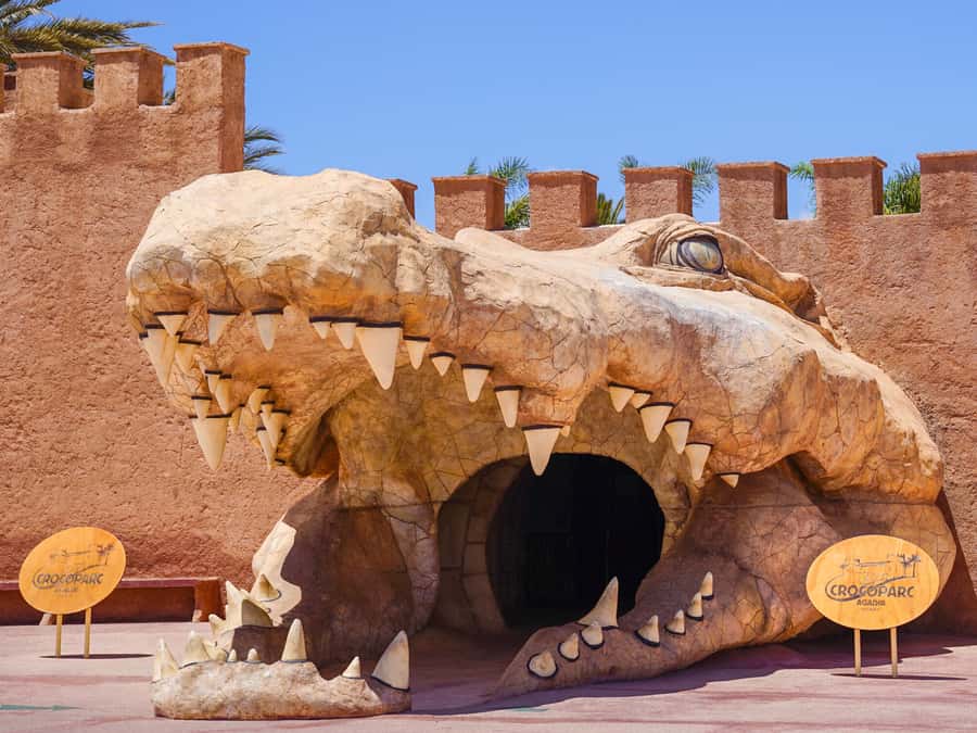 Agadir: Crocoparc Skip-the-Line Entry Ticket - Key Things You’ll Notice at Crocoparc Agadir