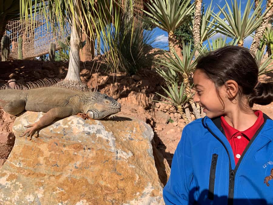 Agadir: Crocoparc Skip-the-Line Entry Ticket - Agadir Crocoparc: Crocodiles With Garden Walks Attached