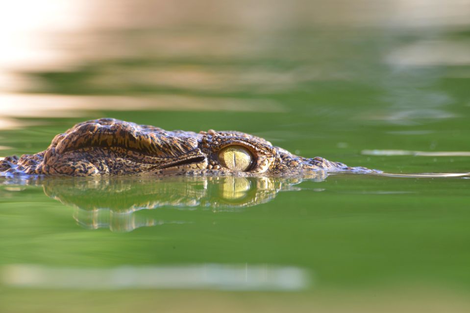 Agadir: Crocoparc Skip-the-Line Entry Ticket - Optional Extras: Zip Line Over the Crocodiles and Paid Photo Moments