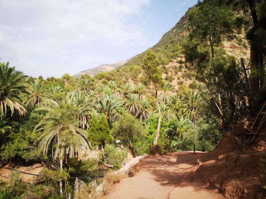 Agadir or Taghazout: Paradise Valley Atlas Mountains Tour - Lunch option: when it’s worth choosing
