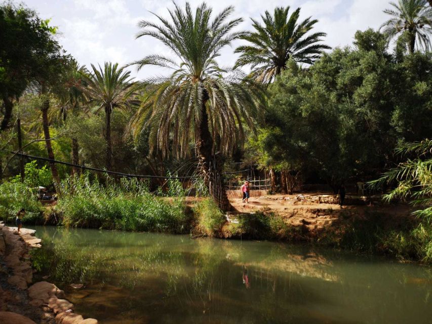 Agadir or Taghazout: Paradise Valley Atlas Mountains Tour - Guides and safety: what you should expect from the people leading you
