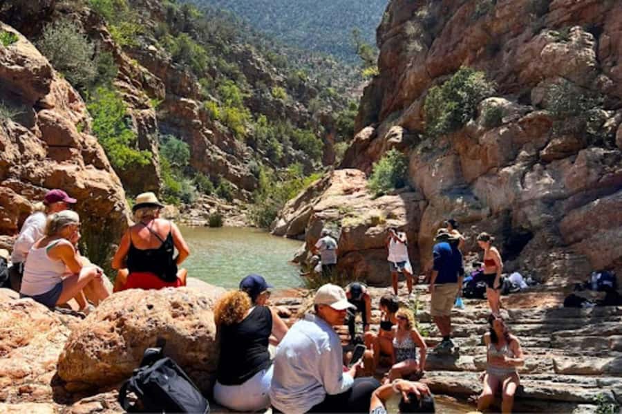 Agadir or Taghazout: Paradise Valley & Atlas Mountains Trip - The Honey Road drive: why the bus ride is part of the experience