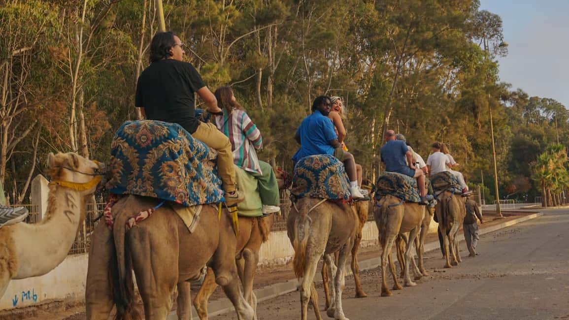 Agadir/Taghazout: Camel Rides with Tea Drink and Transfers - Key things to know before you go