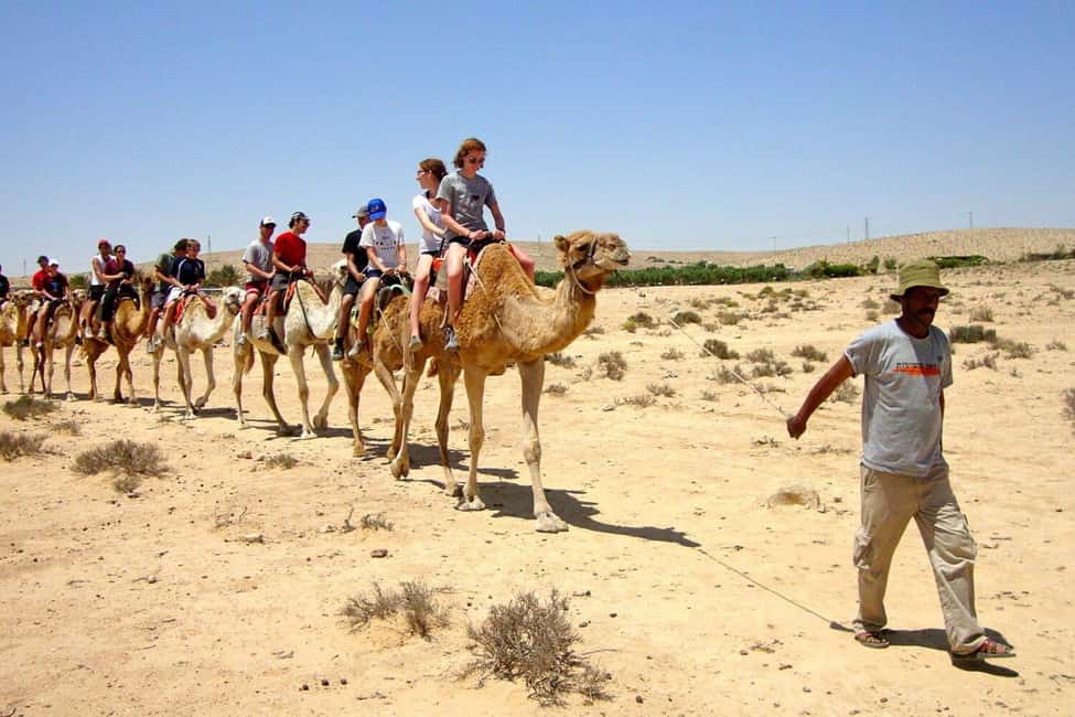 Agadir/Taghazout: Camel Rides with Tea Drink and Transfers - Value Check: Why This One Works