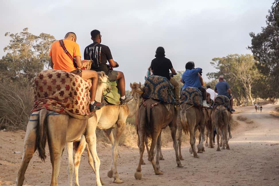 Agadir/Taghazout: Camel Rides with Tea Drink and Transfers - Camel Rides in Agadir: What You’re Actually Buying for $22