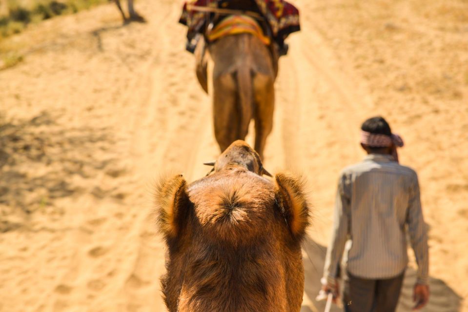 Agadir/Taghazout: Camel Rides with Tea Drink and Transfers - What You’ll See: River Views, Sea-Reach Routes, and Flamingos (Maybe)
