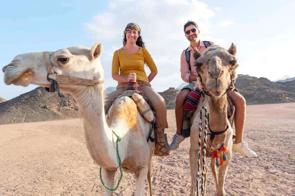 Agadir/Taghazout: Camel Rides with Tea Drink and Transfers - Optional Dinner, and How to Think About Extra Meals