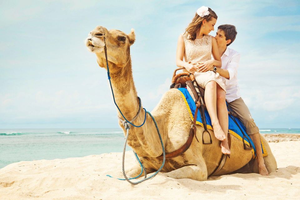 Agadir/Taghazout: Camel Rides with Tea Drink and Transfers - Who This Tour Fits Best (And Who Might Want Another Option)