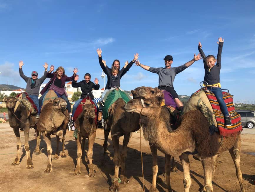 Agadir/Taghazout: Camel Rides with Tea Drink and Transfers - Pickup, Transfers, and Timing Around Agadir