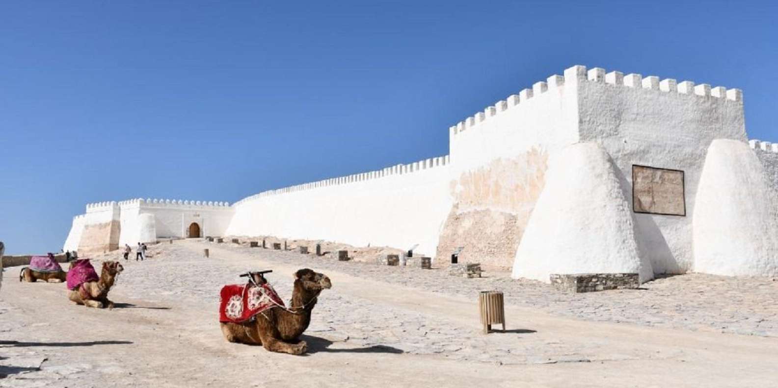 Agadir/Taghazout: Old Medina of Coco Polizzi and Agadir Tour - FAQ