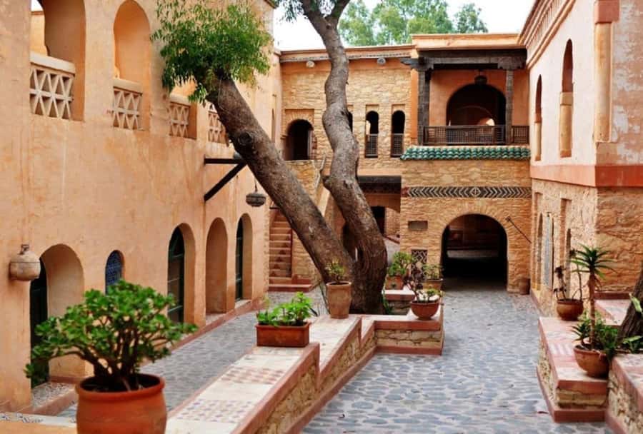 Agadir/Taghazout: Old Medina of Coco Polizzi and Agadir Tour - Argan Oil Factory Stop: Learn, Then Shop Smarter