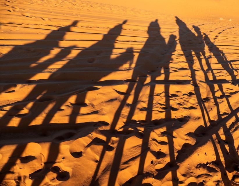 Agadir/Taghazout/Port: Sahara Desert 4x4 Day Trip with Lunch - Youssef ben Tachfine dam: the stop that gives meaning to the scenery