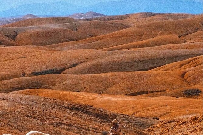 Agafay Desert: Dinner + Show with Quad Bike & Sunset Camel Ride - Final Decision: Should You Book This Tour?