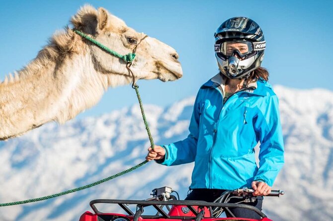 Agafay Desert Package, Quad Bike, Camel Ride and Dinner Show - Key highlights you’ll notice right away