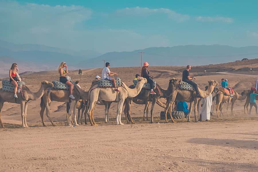 Agafay Desert: Quad Biking, Camel Ride, Lunch - Lunch, Mint Tea, and the Argan Cooperative Stop