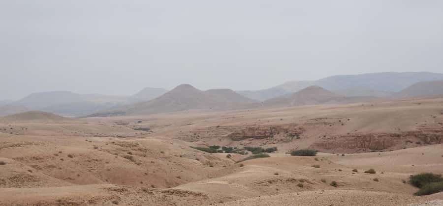 Agafay Desert: Quad Biking, Camel Ride, Lunch - Price and Value: Is $34 Actually Fair?