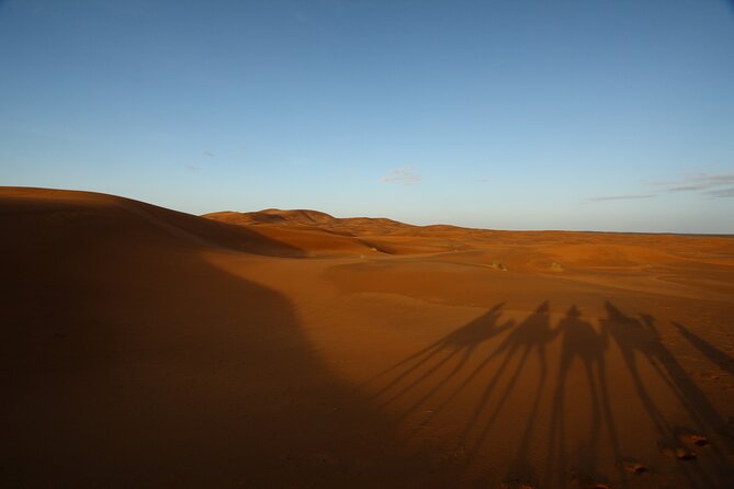 Agafay Desert Sunset, Camel Ride and Dinner from Marrakech - Key things to know before you go