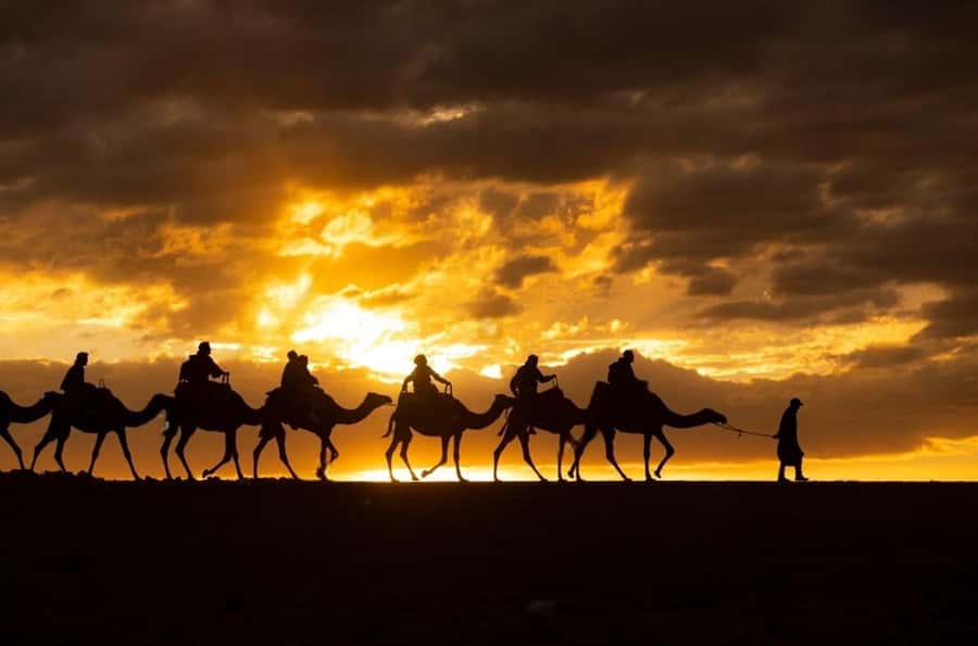 Agafay: Quad, Camel Ride & Dinner Show from Marrakech - Berber dinner under the tent: food, music, and the fire show