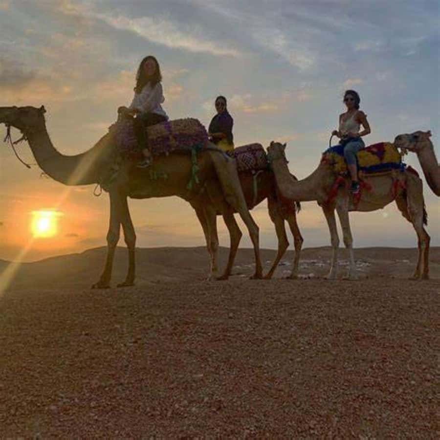 Agafay: Quad, Camel Ride & Dinner Show from Marrakech - Who this tour fits best (and who should skip it)