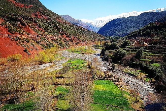 Atlas Mountains & 5 Valleys Tour from Marrakech - All inclusive - - Why the Atlas Mountains tour feels easier than DIY