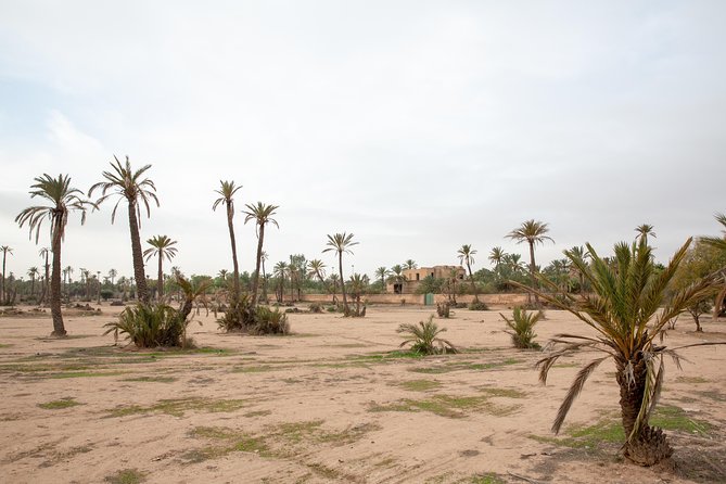 Atlas Mountains Hot Air Balloon Ride from Marrakech with Berber Breakfast and Desert Camel Experience - Berber Breakfast After Landing: What Makes the Food Stop Worth It