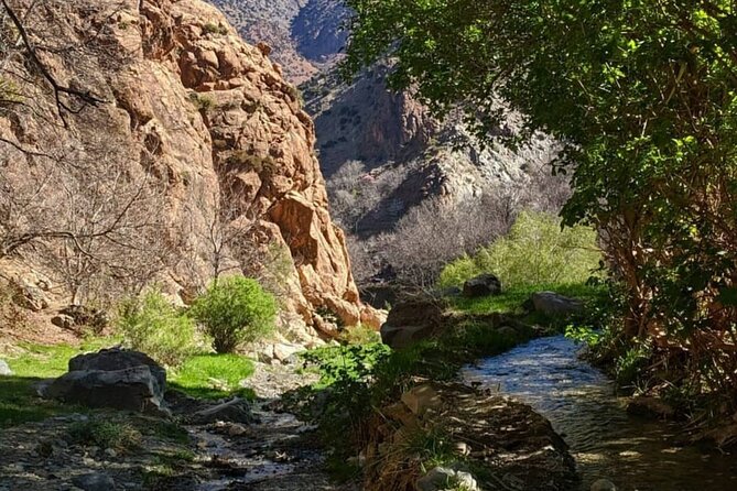 Berber villages : Atlas Mountains Day Hike from Marrakech - Price, group size, and whether $15 is realistic value