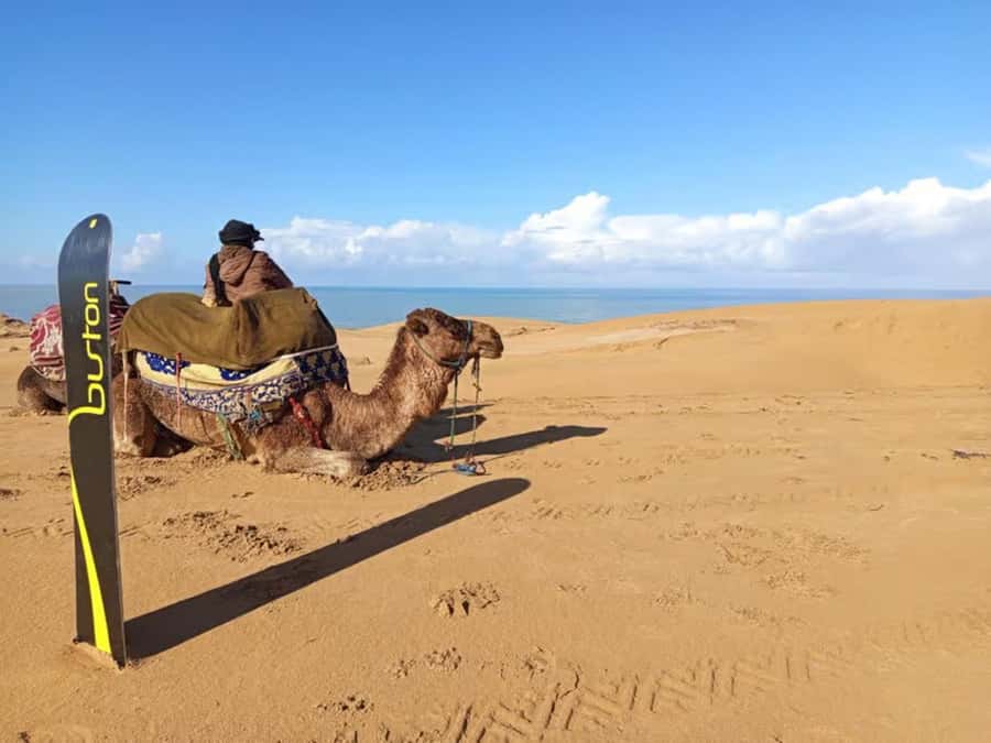 Best Agadir Desert Adventure: Quad Camel Sandboarding & BBQ - Transfers, guides, and photos: the service details that matter