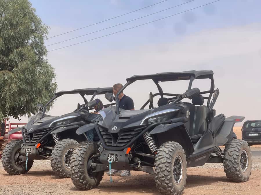 Buggy Marrakech Desert and Palmerie - Price and Value: What You’re Really Paying For
