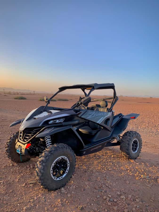 Buggy Marrakech Desert and Palmerie - Your Buggy Setup: 1000cc Fun With a 60 km/h Safety Cap