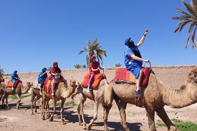 Camel ride Marrakech - Sunset Camel Ride Through Marrakech Palmeraie
