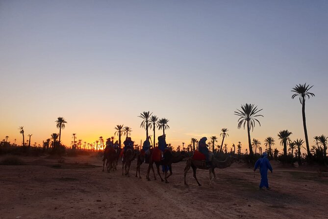 Camel ride Marrakech - The Ride Itself: About an Hour Through Palms
