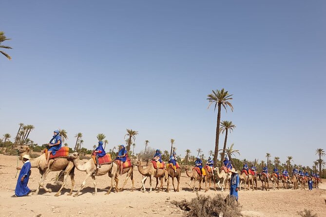 Camel ride Marrakech - Dressing Up and Photo Stops Without the Headache