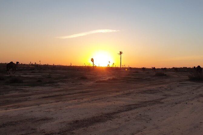 Camel ride Marrakech - Comfort Matters: Climate-Controlled Transport and Timing